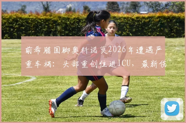 前希腊国脚奥科诺莫2026年遭遇严重车祸:头部重创住进ICU,最新伤情与职业生涯回顾