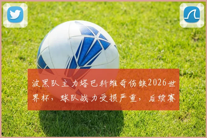 波黑队主力塔巴科维奇伤缺2026世界杯,球队战力受损严重,后续赛程堪忧