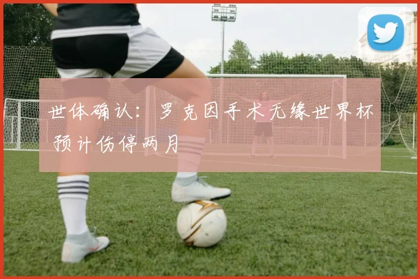 世体确认：罗克因手术无缘世界杯 预计伤停两月