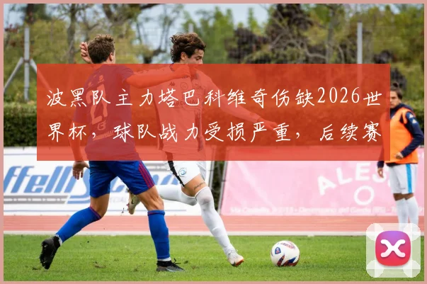 波黑队主力塔巴科维奇伤缺2026世界杯,球队战力受损严重,后续赛程堪忧
