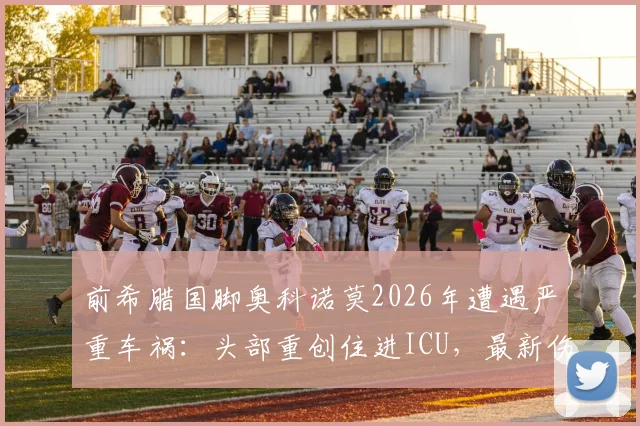 前希腊国脚奥科诺莫2026年遭遇严重车祸:头部重创住进ICU,最新伤情与职业生涯回顾